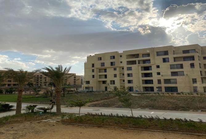 8288238 - صورة العقار 2