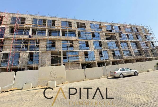 8504316 - Property Image 3