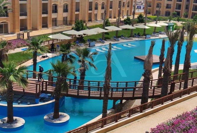 8329781 - Property Image 3