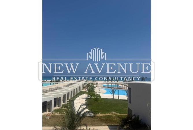 8162505 - Property Image 2