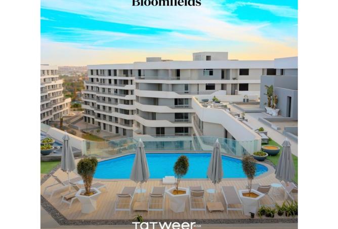 8249818 - Property Image 2