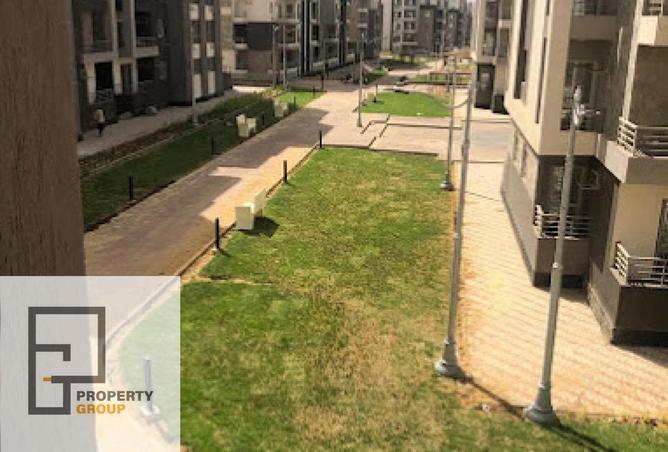 8463391 - Property Image 2