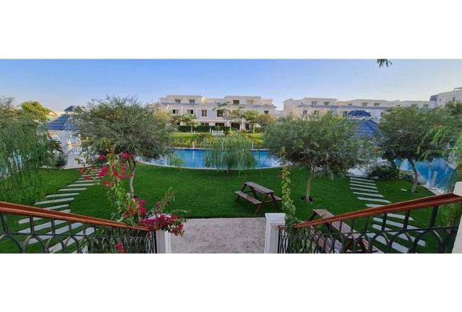 7987603 - Property Image 3
