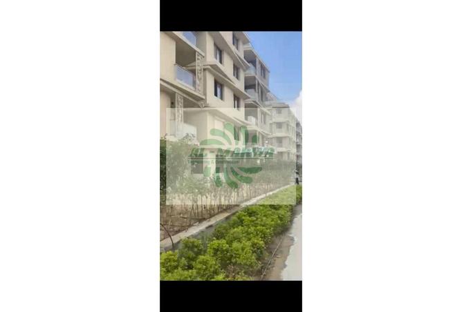 8256918 - Property Image 3