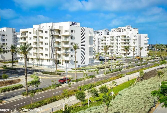 8215312 - Property Image 3