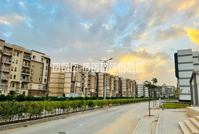 8431261 - Property Main Image