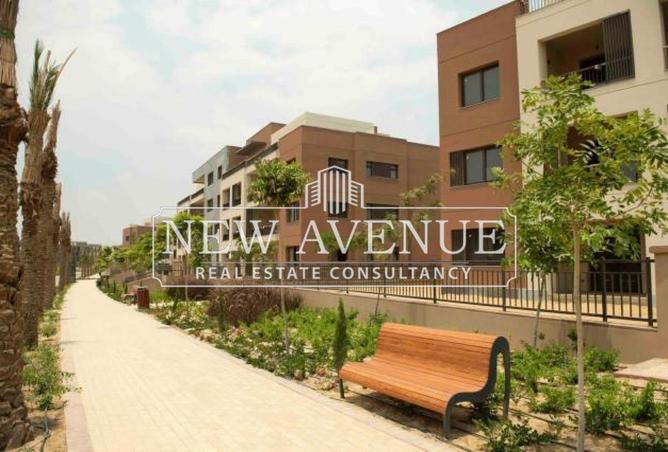 8451062 - Property Image 3