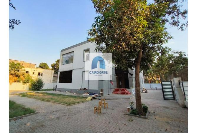 8336042 - صورة العقار 3