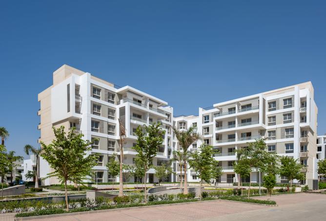 7987405 - Property Image 3