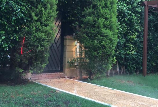 8256405 - صورة العقار 2