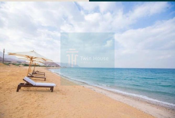 8260134 - Property Image 3