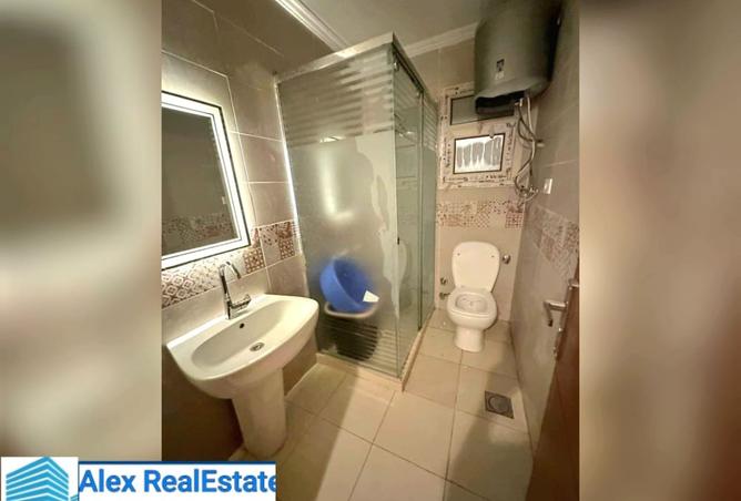 8339475 - Property Image 3