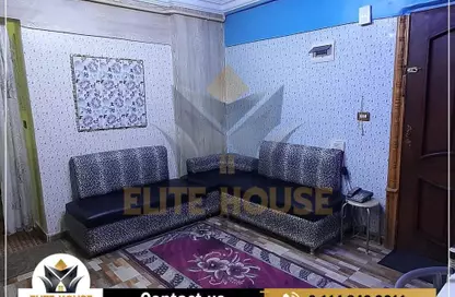 شقة - 2 غرف نوم - 1 حمام للايجار في شارع الشهيد طيار محمود شاكر عبد المنعم - سموحة - حي شرق - الاسكندرية