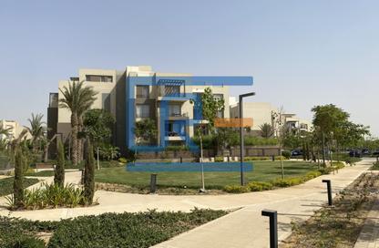 Apartment - 3 Bedrooms - 3 Bathrooms for sale in Palm Parks   Palm Hills - South Dahshur Link - 6 October City - Giza