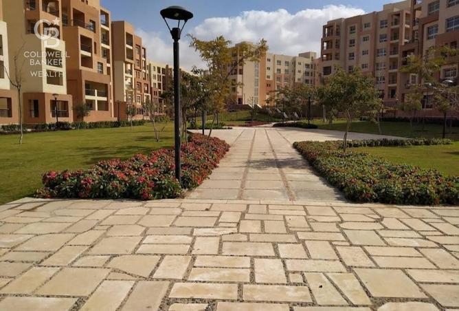 8127588 - الصورة الرئيسية للعقار