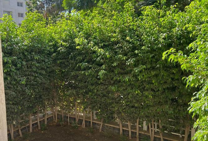 8524960 - صورة العقار 2