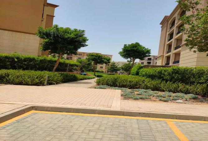 8187676 - Property Image 3