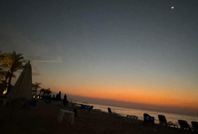 8008874 - صورة العقار 3