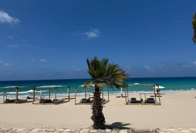 8205238 - صورة العقار 3