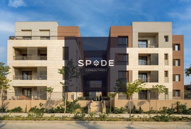 8126962 - Property Image 2