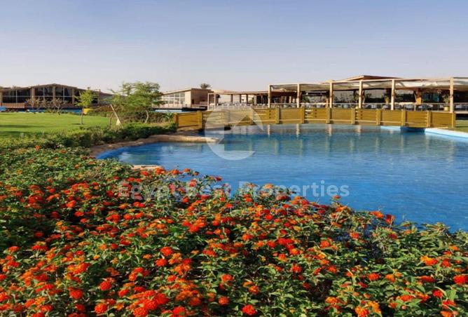 8401924 - صورة العقار 3