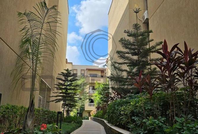 8252825 - Property Image 2