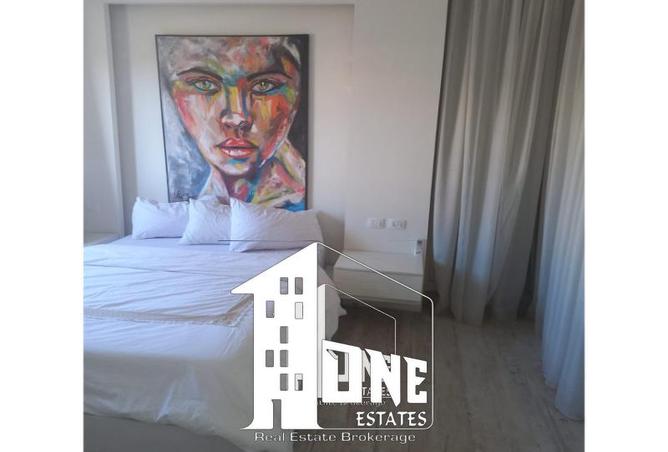 8125803 - Property Image 3