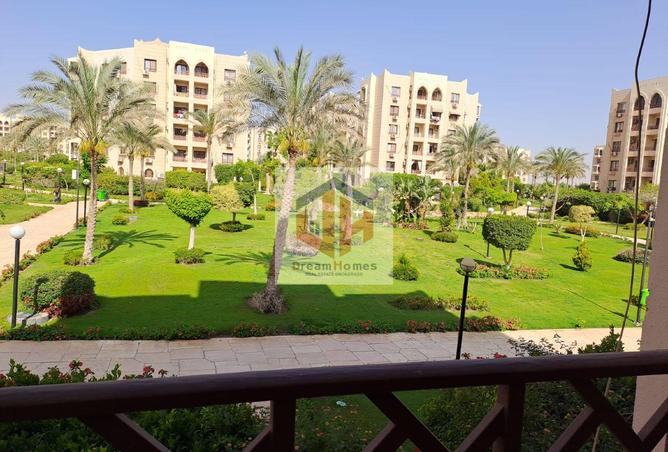 8119256 - Property Image 3