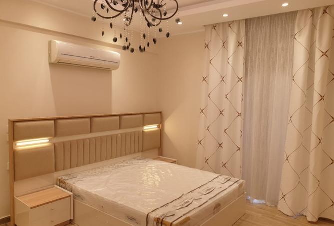 8429038 - Property Image 3