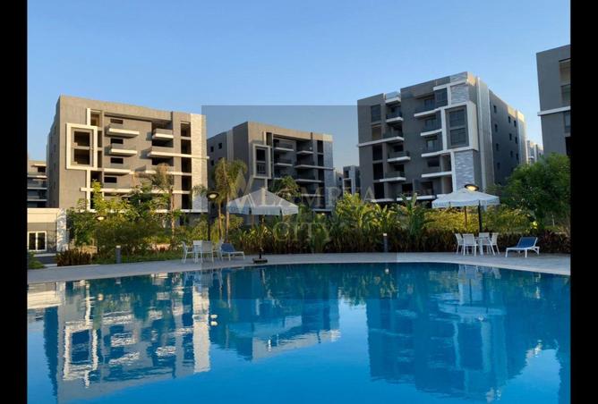 8430248 - Property Image 3