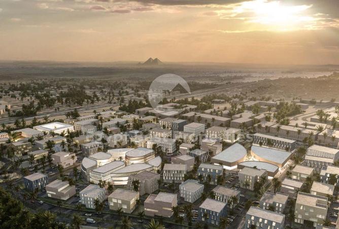 8173531 - صورة العقار 2