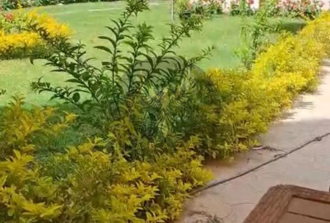 8329187 - صورة العقار 2