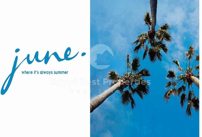 8244133 - صورة العقار 2