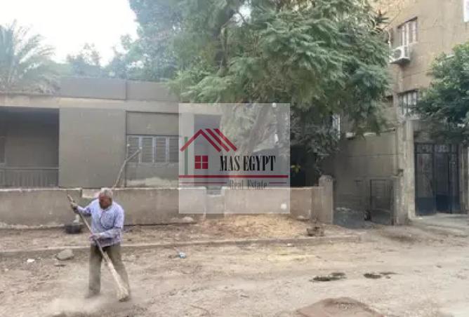 8131893 - صورة العقار 3