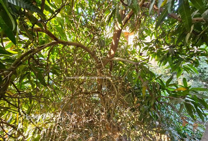 8254381 - Property Image 2