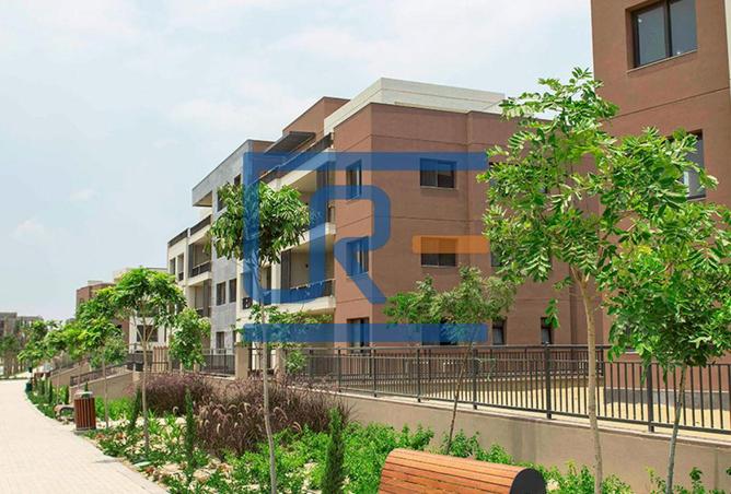 8260869 - Property Image 3