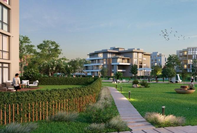 8134783 - Property Image 3