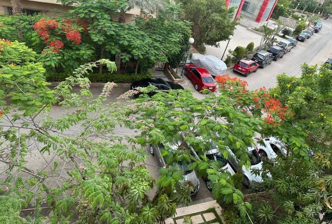 7955014 - الصورة الرئيسية للعقار