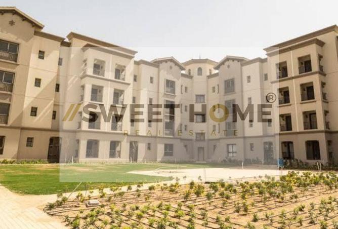 8157353 - Property Image 3