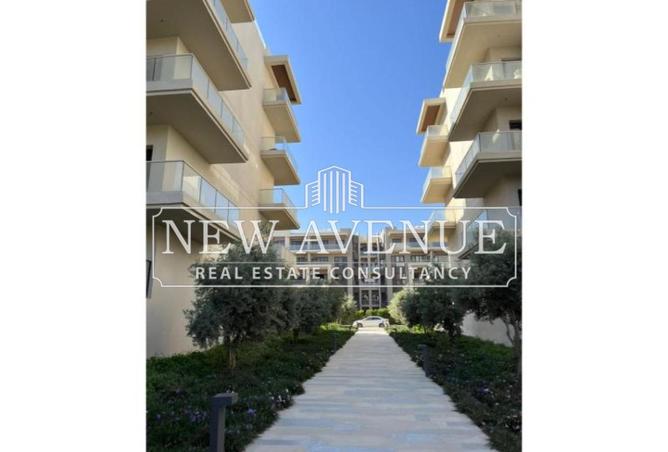 8245011 - صورة العقار 3