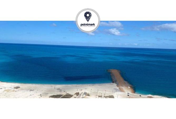 7982457 - صورة العقار 2