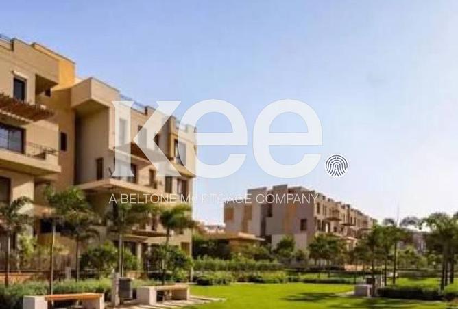 8427193 - Property Image 3