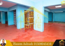 Office Space - 2 bathrooms for للايجار in Mostafa Kamel St. - Moharam Bek - Hay Sharq - Alexandria