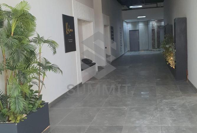 8081715 - Property Image 3