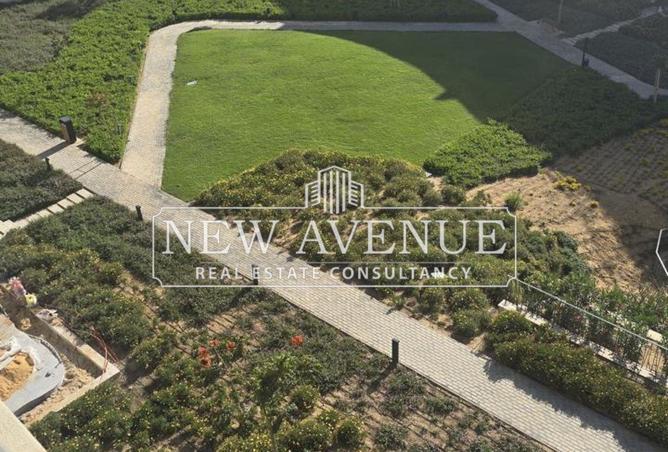 8437374 - Property Image 3