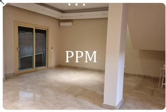 8311082 - Property Image 3