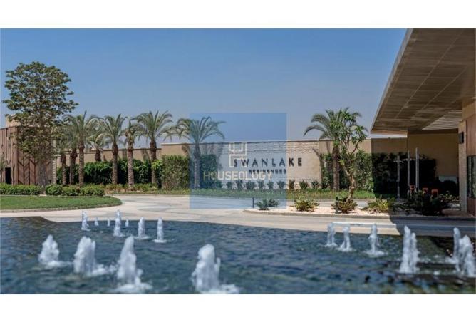 8233380 - Property Image 3