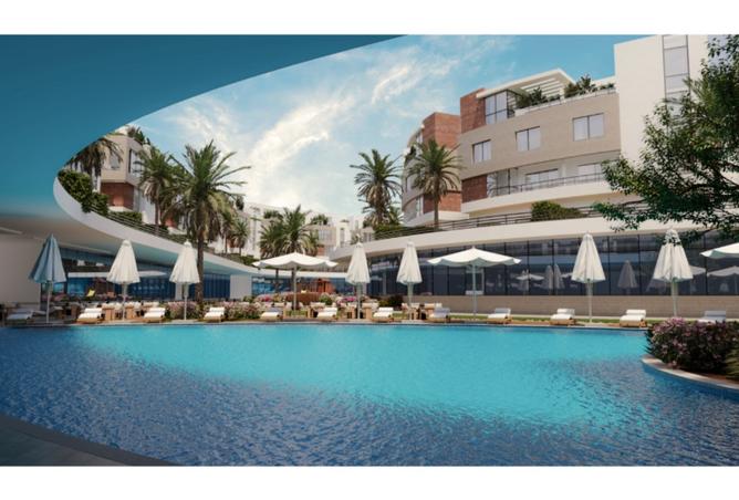 8224566 - Property Image 2