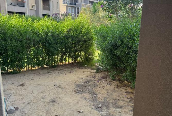 8002825 - صورة العقار 3