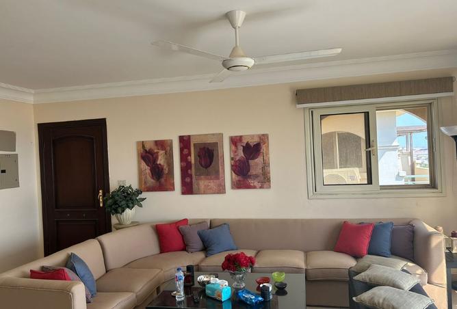 8143366 - Property Image 3